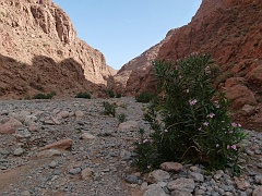 P1560957